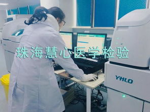 慧心資訊過敏原檢測 了解其檢測服務與應用價值