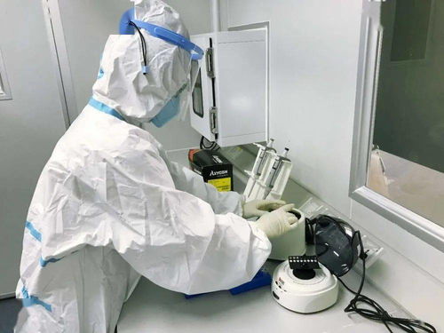 四會提供新冠病毒核酸檢測服務，最快3小時可出報告